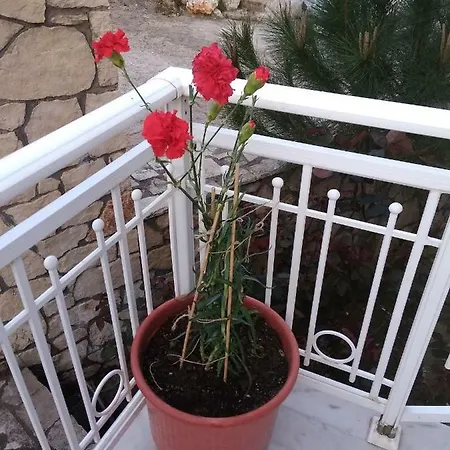 Casa Limnionas