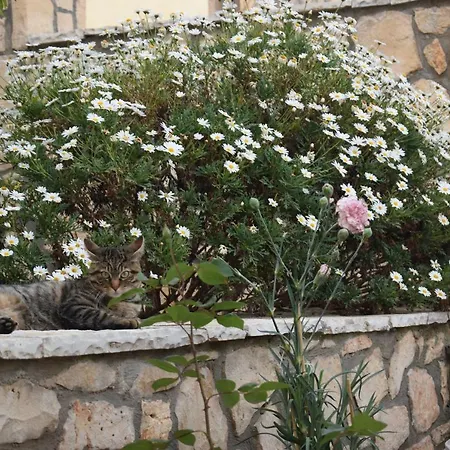 Casa Limnionas Apartment Agios Leon